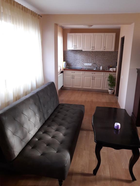 Bogdan's apartment Sibiu Buitenkant foto